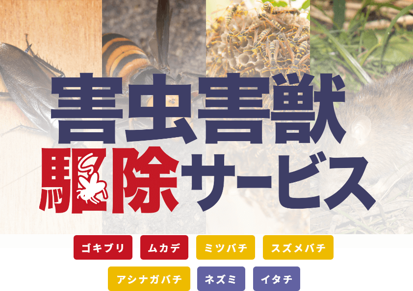 害虫害獣サービスよくあるご質問